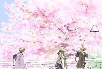女性全身精油spa
